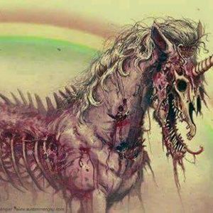 Meet your Posher, Kitty